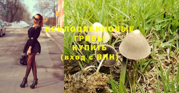 винт Семёнов